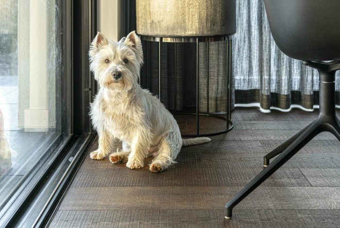 20220426-Frumax_Magnolii_full-27